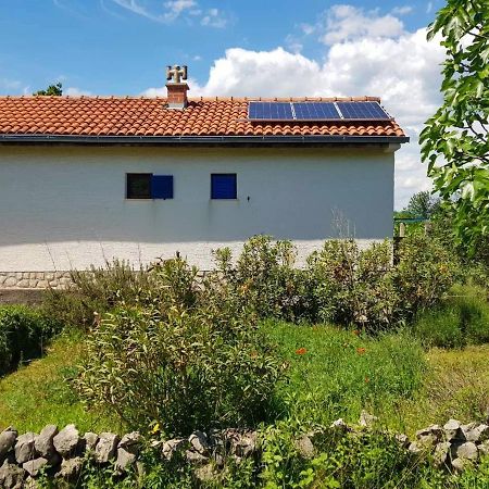 ŠiloEcohouse Oliveglia别墅 外观 照片