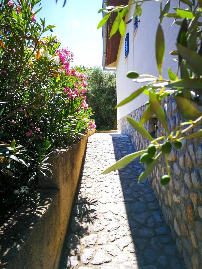 ŠiloEcohouse Oliveglia别墅 外观 照片
