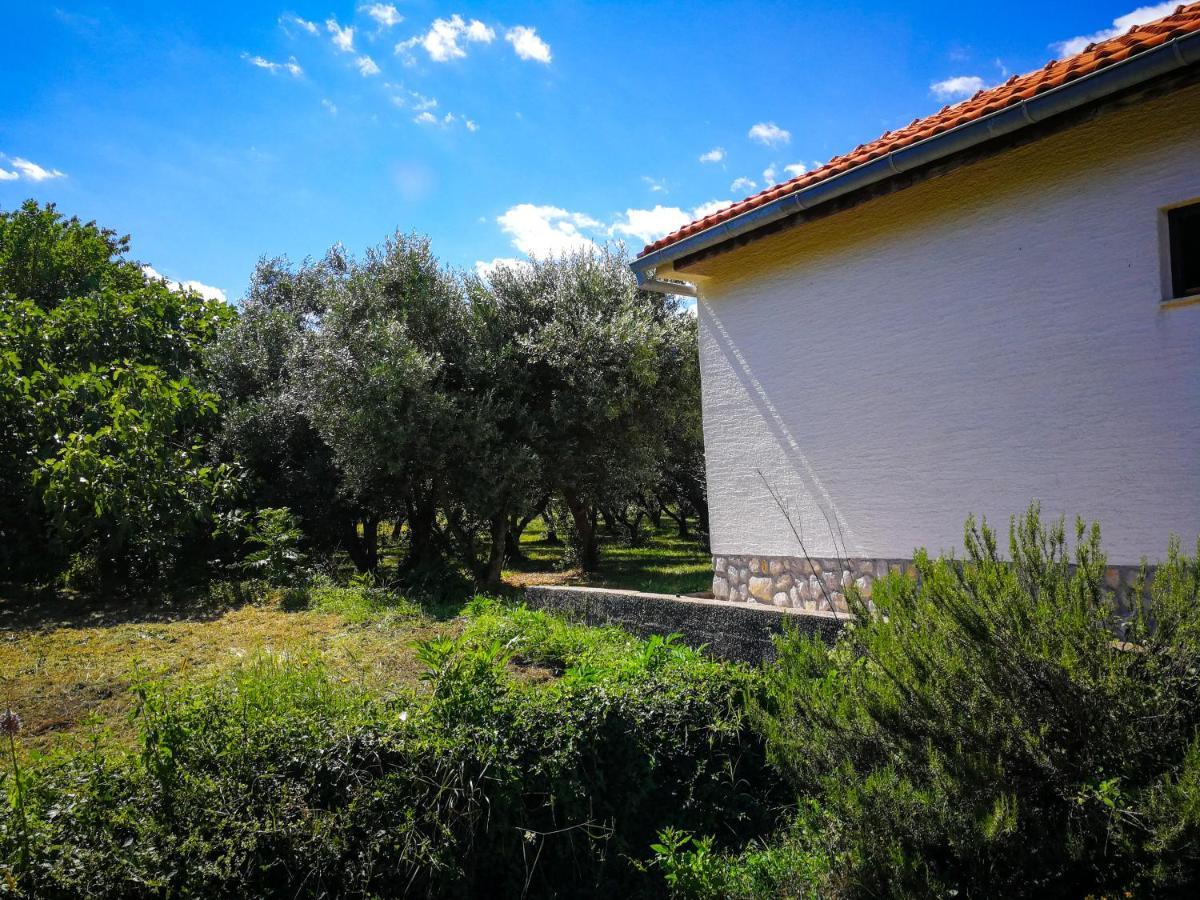 ŠiloEcohouse Oliveglia别墅 外观 照片
